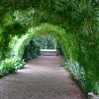 green tunel 