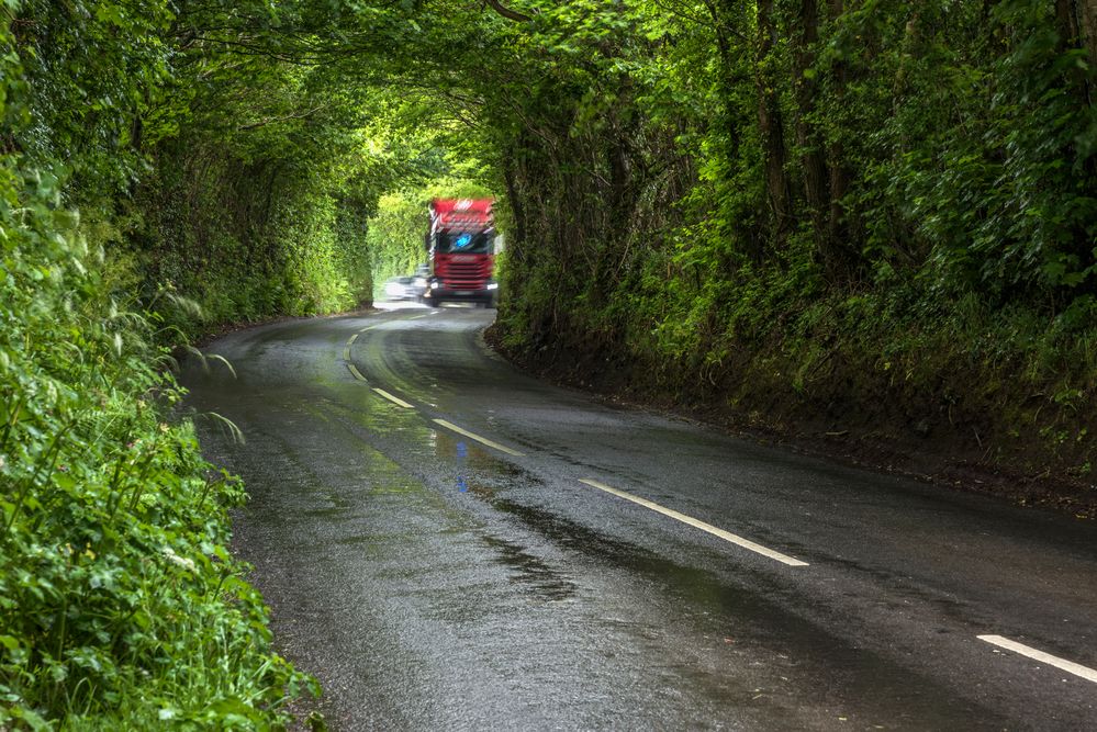 *green tunnel*