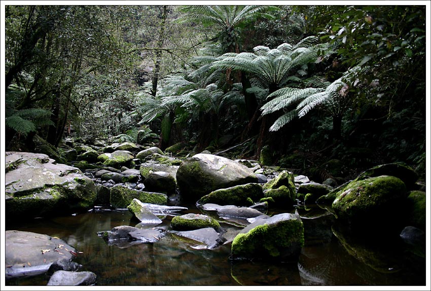 Green walk