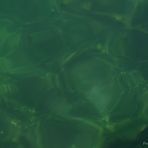 green water 1