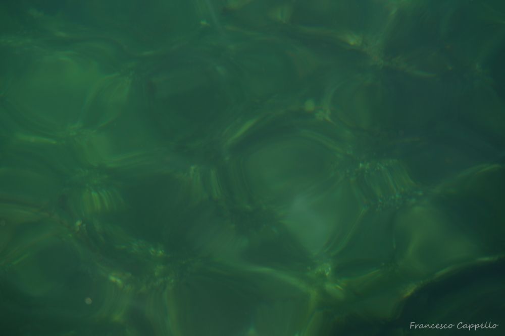 green water 1