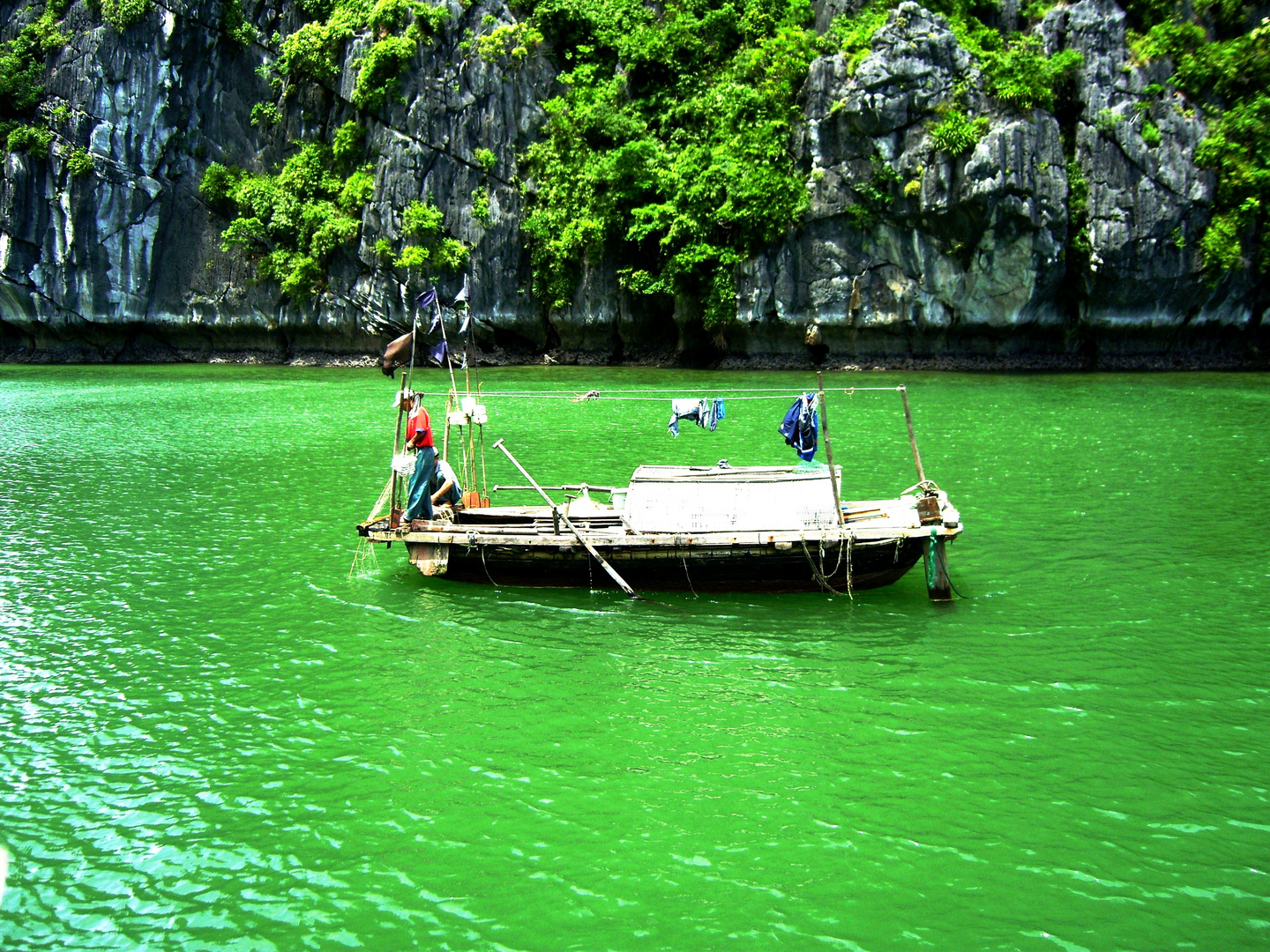 Green Water