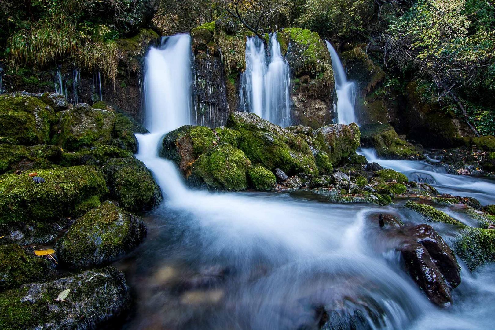 Green water