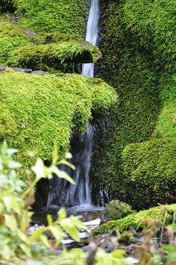 Green waterfall