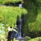 Green waterfall