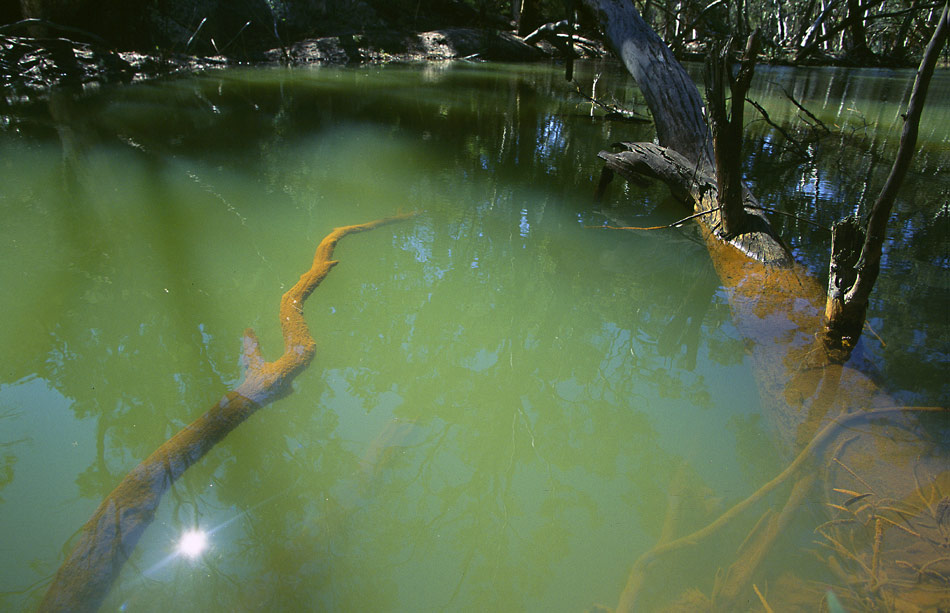 Green Waters