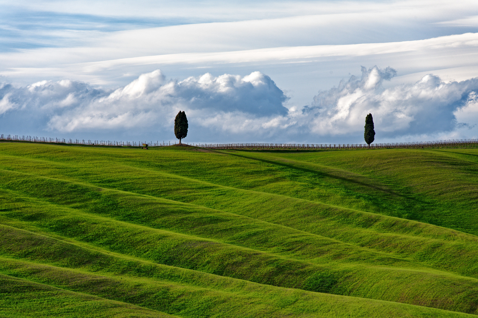 Green Waves