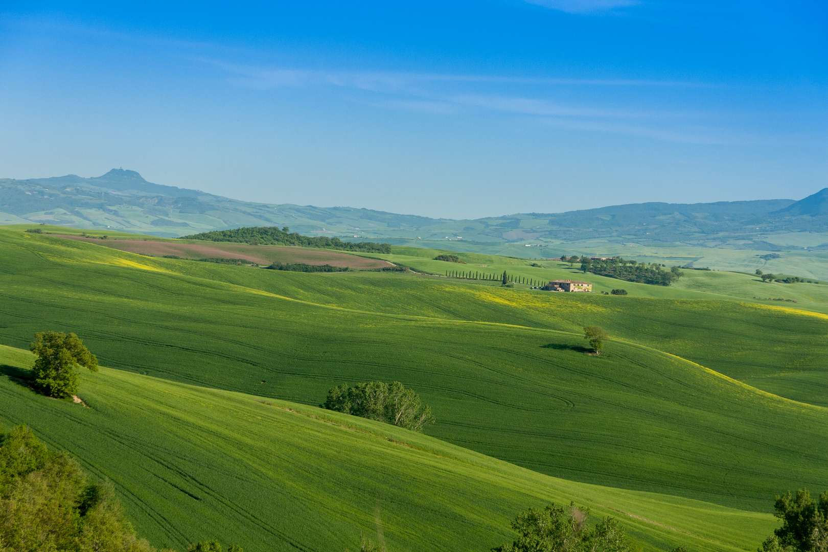 Green waves