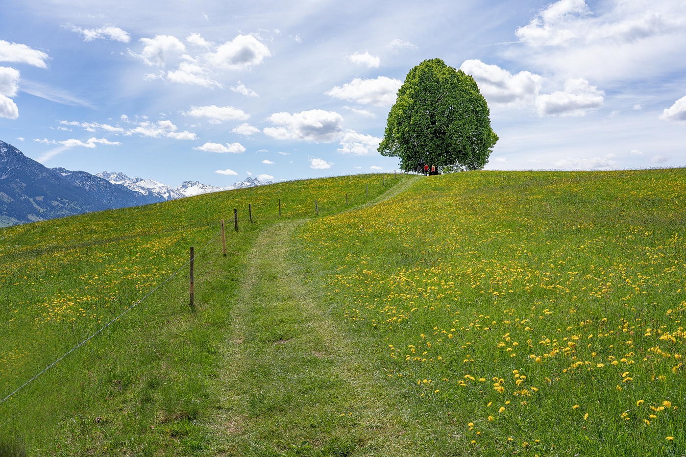 Green Way