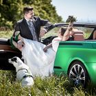 Green wedding