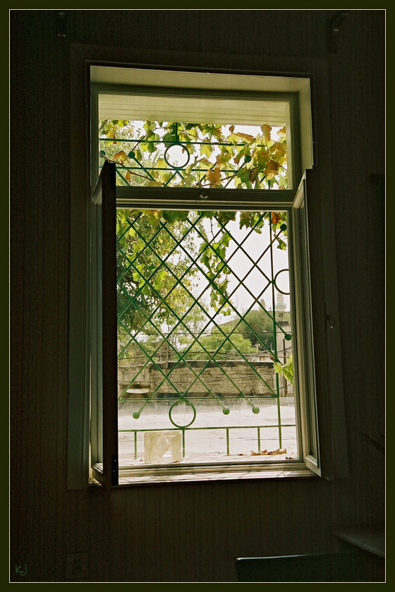 Green window bars