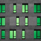 Green Windows