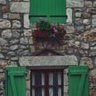 Green Windows