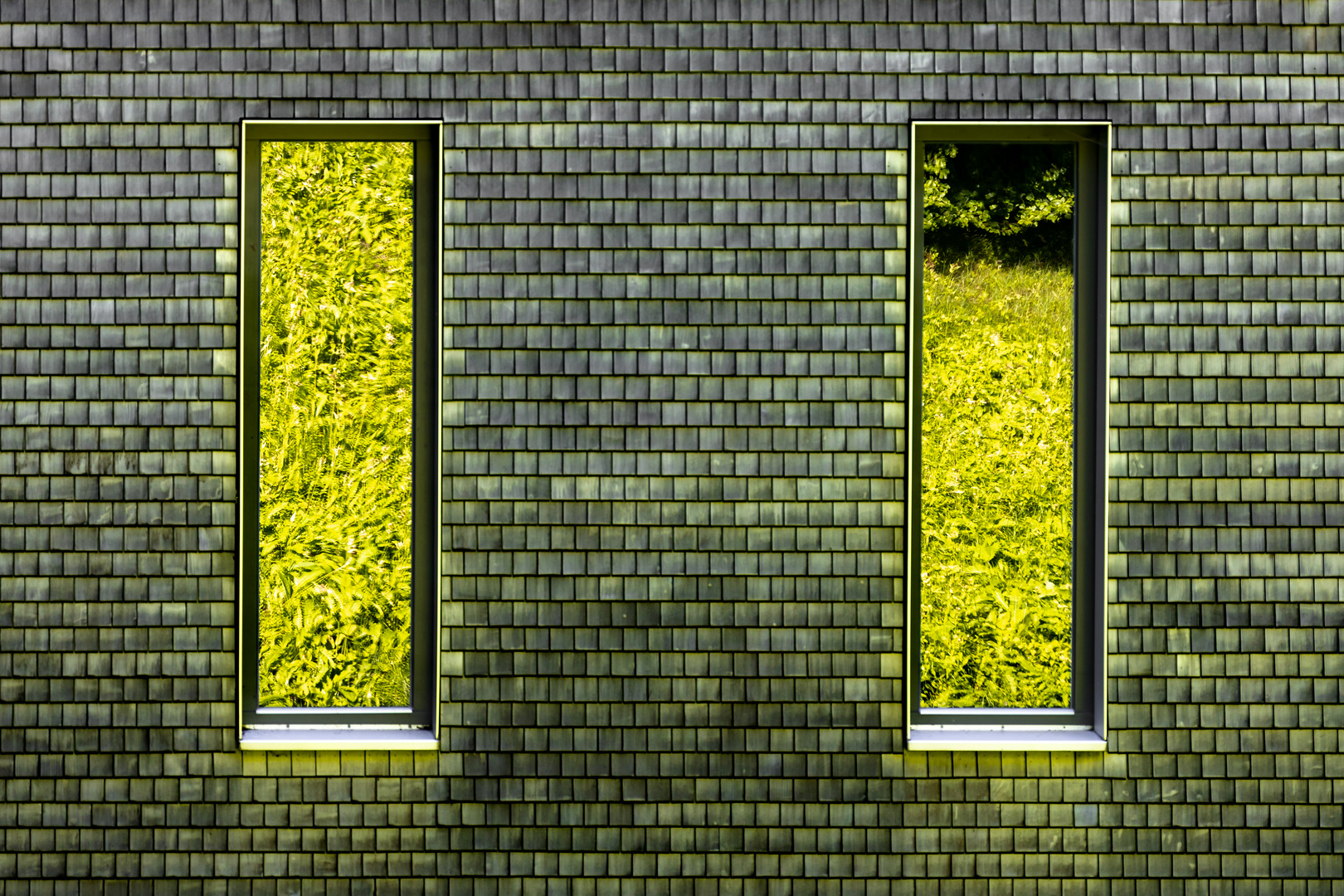 Green windows