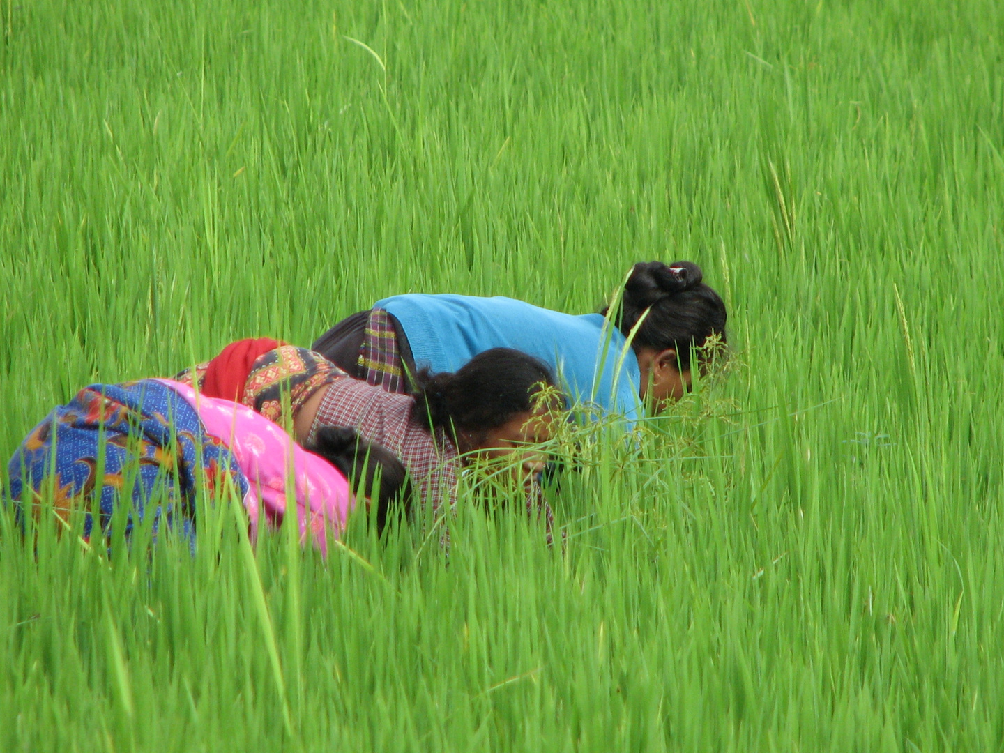 green workers