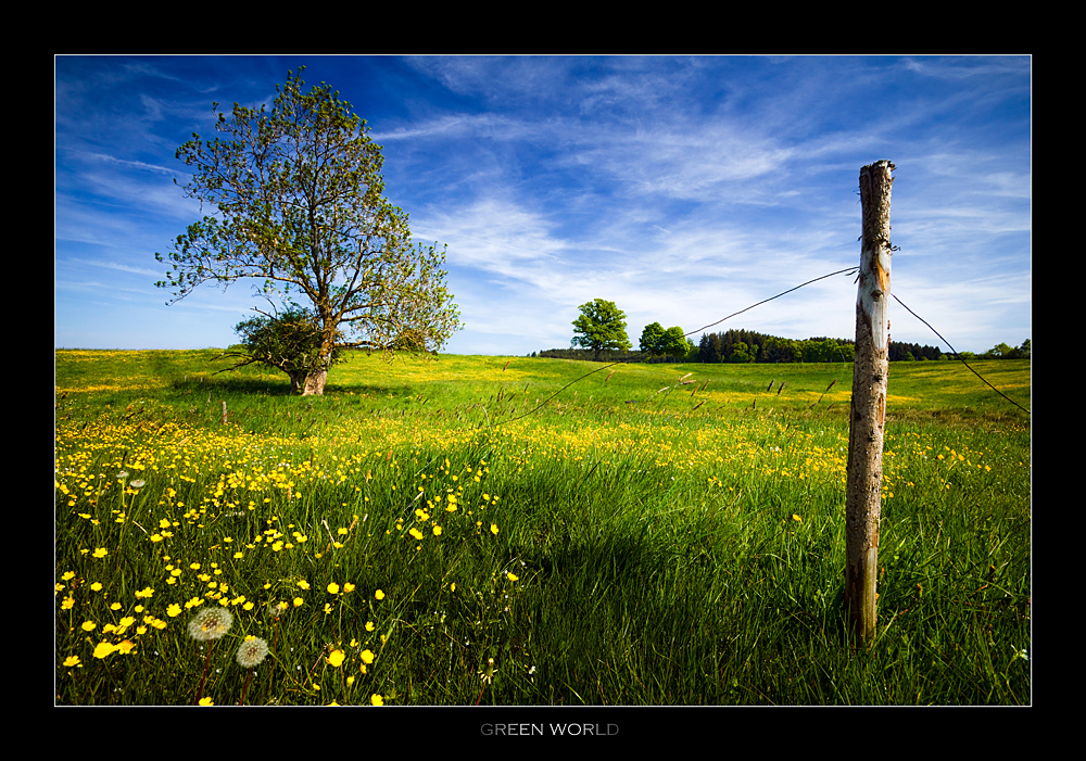 Green World