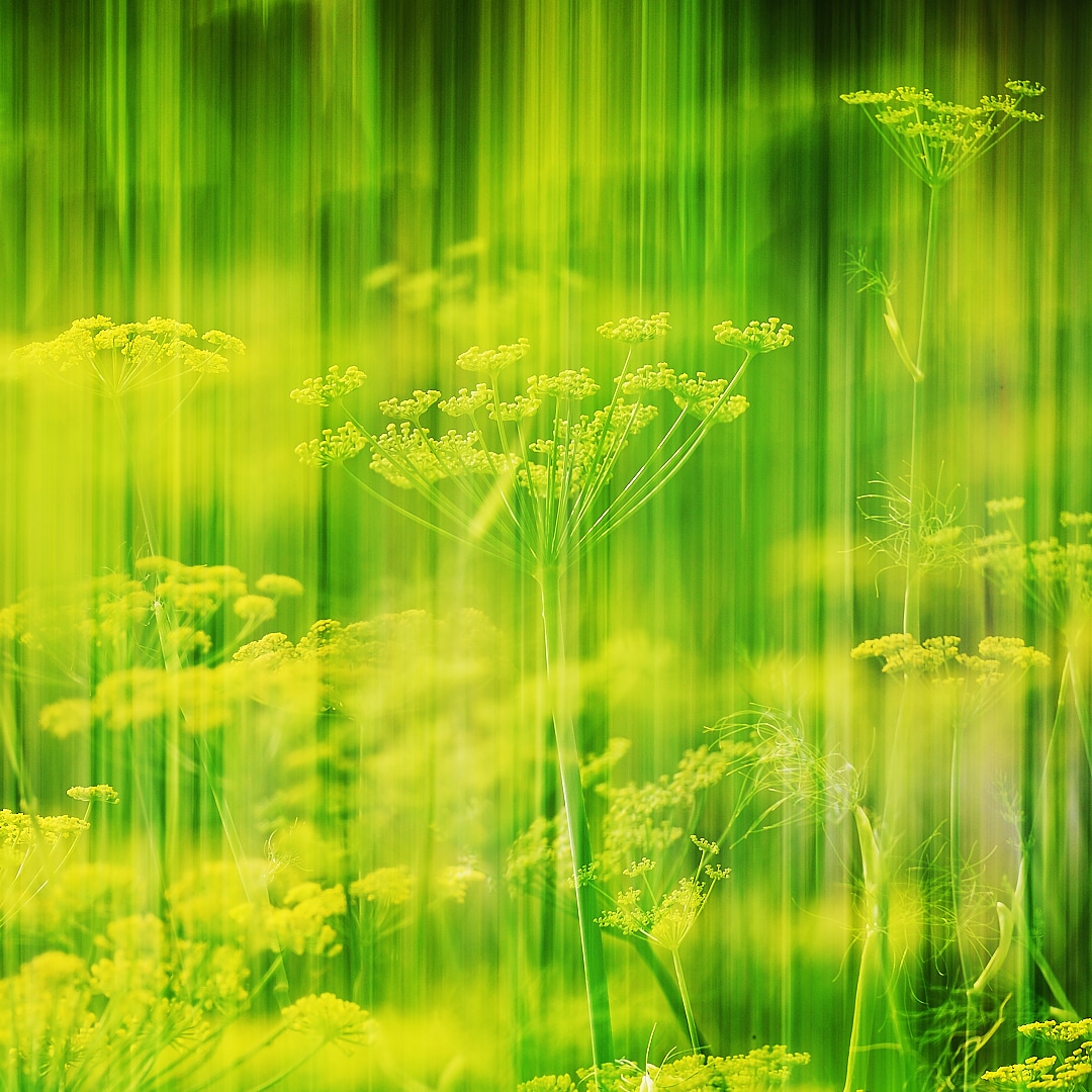 green-yellow