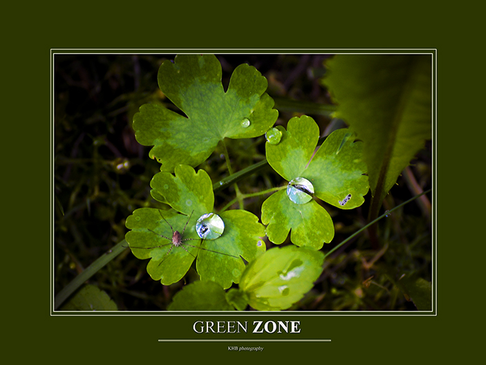 Green Zone