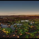 Greenan Castle