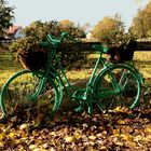 Greenbike