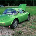 Greencar