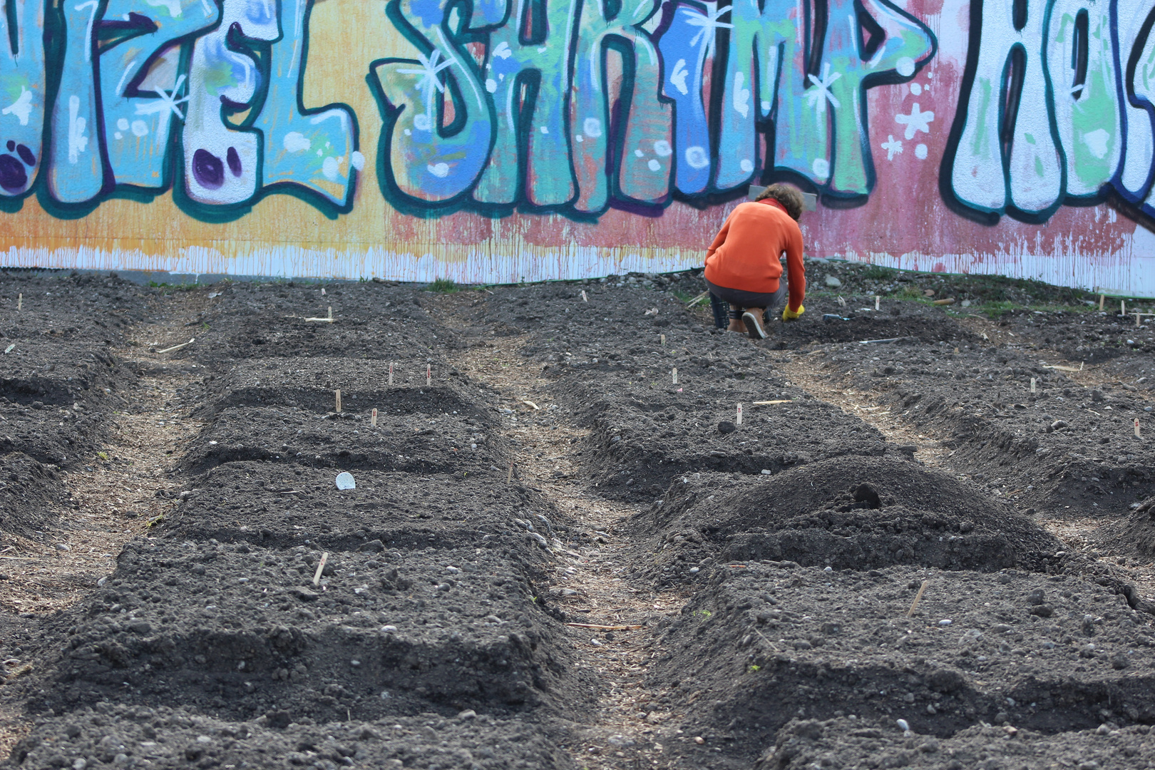 GREENCITY Beete am Anfang