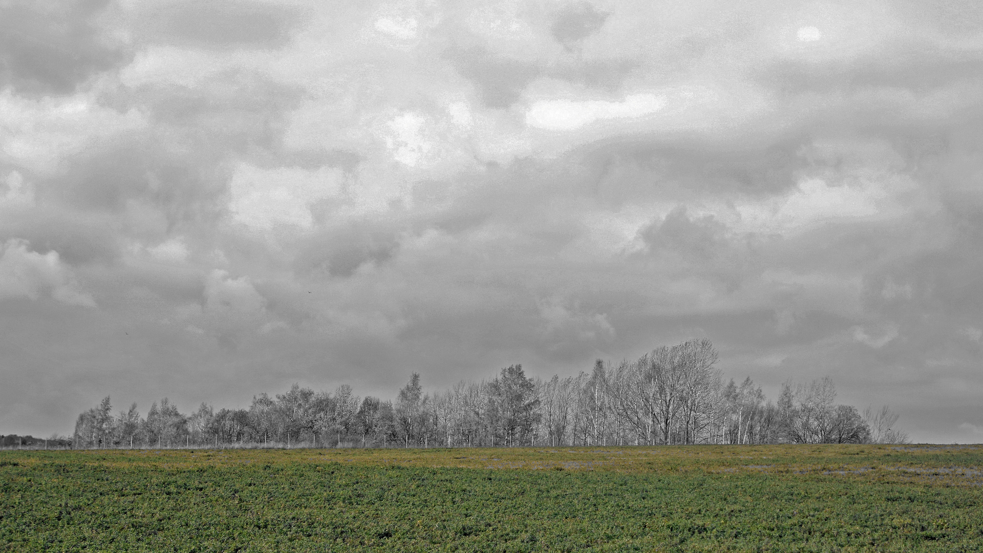 GreenField Foto & Bild fotos, spezial, dokumentation Bilder auf