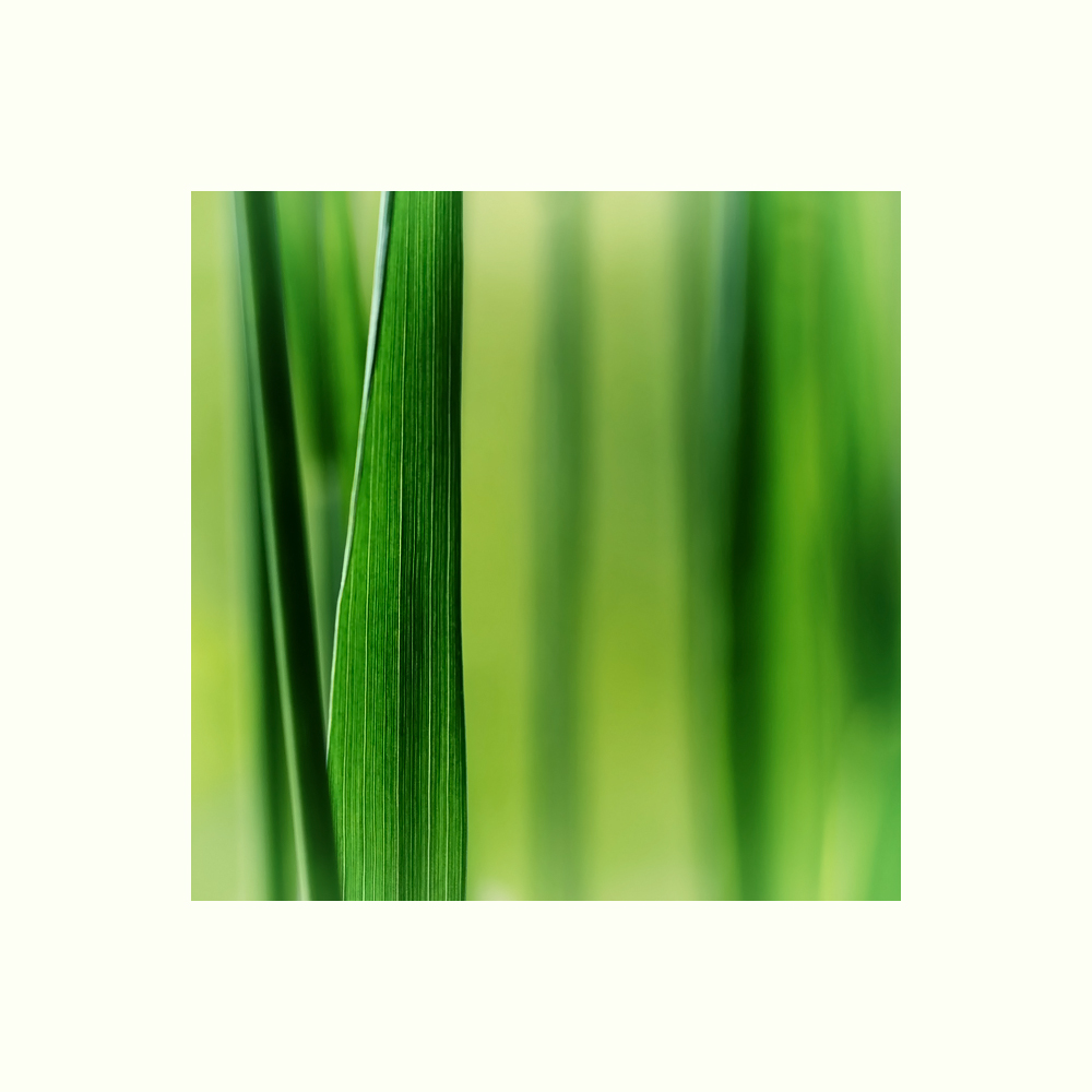 Green.Grass