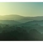 Green,green woods of Tuscany