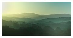 Green,green woods of Tuscany