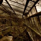 greenhouse