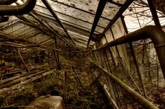 greenhouse