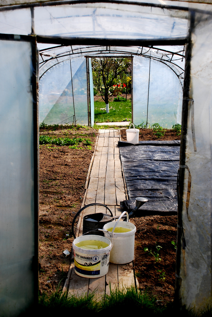 ..greenhouse..