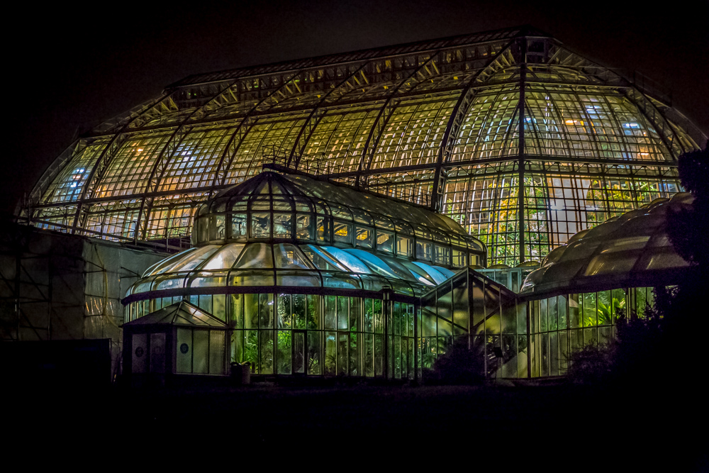 Greenhouse by night