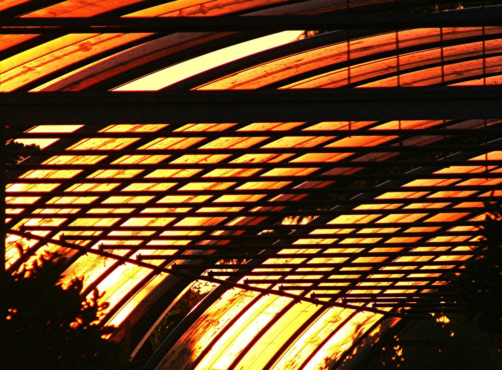 Greenhouse in red