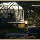 greenhouse in winter 4