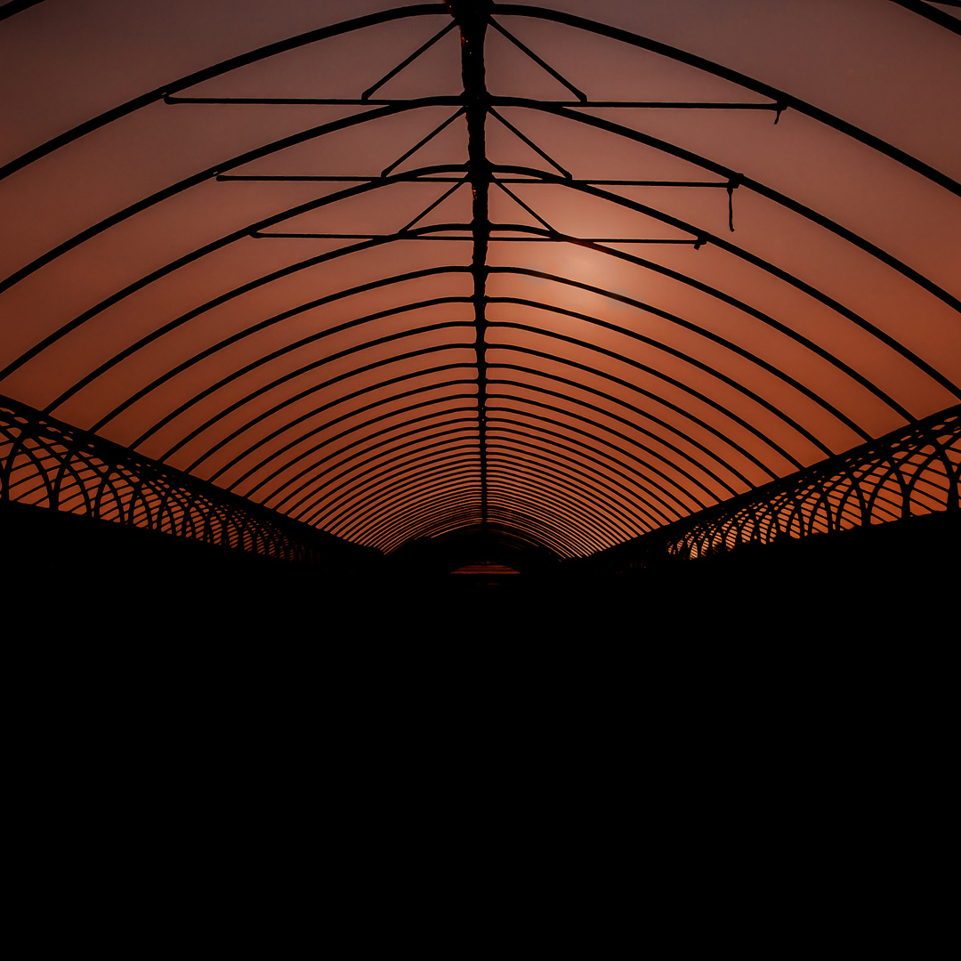 greenhouse under orange sky