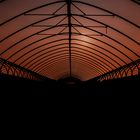 greenhouse under orange sky