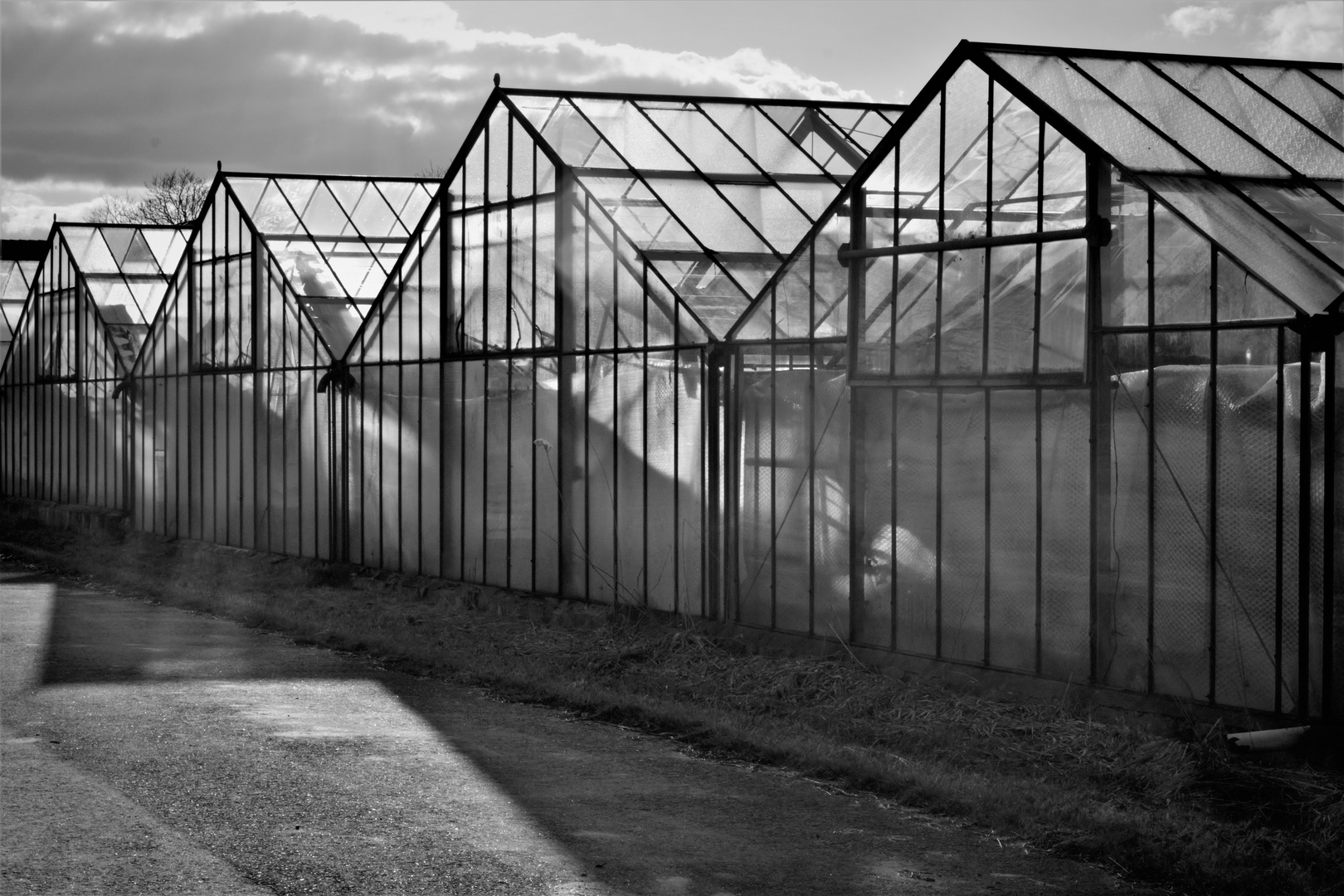 Greenhouses