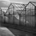 Greenhouses