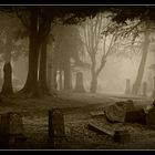 Greenock Cemetery in the mist