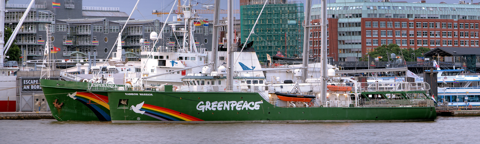 GREENPEACE 