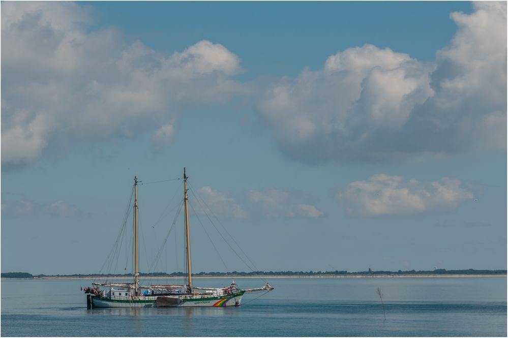 Greenpeace vor Amrum