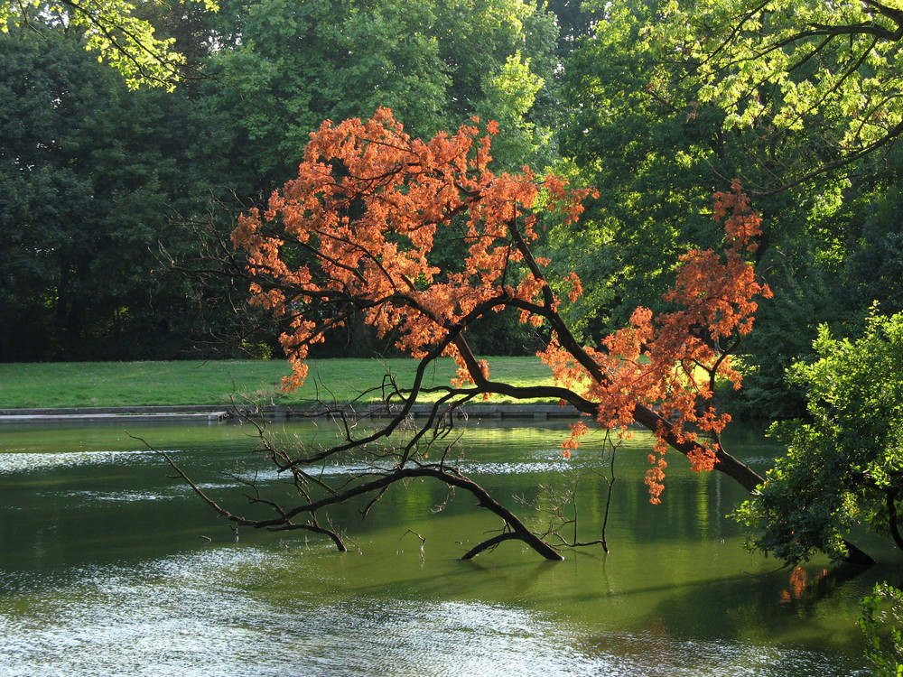 Green&Red