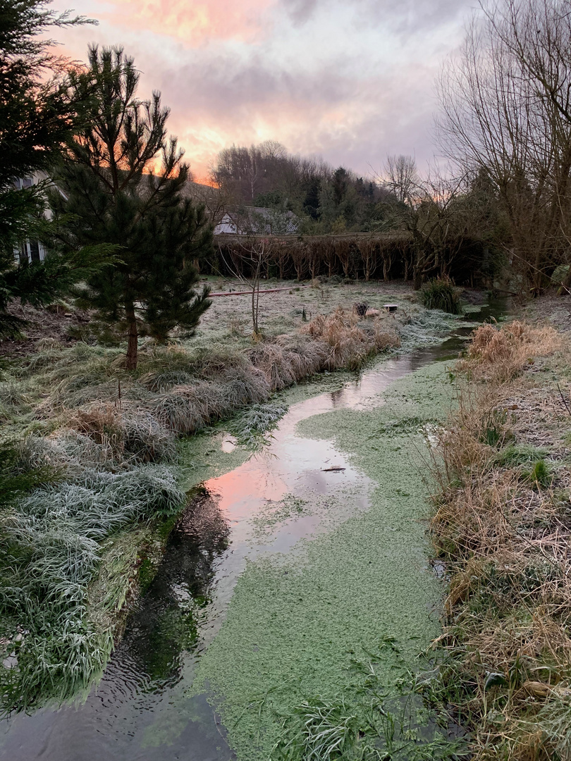 Greens and Sunrise