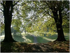 Greenwich Park