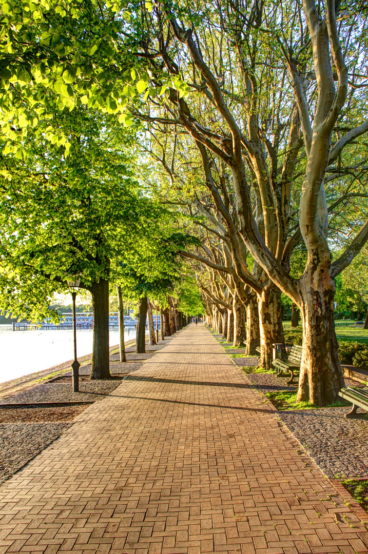 Greenwich Promenade