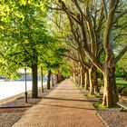 Greenwich Promenade