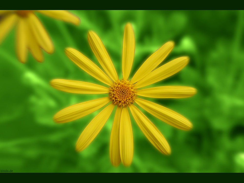 greenyellow