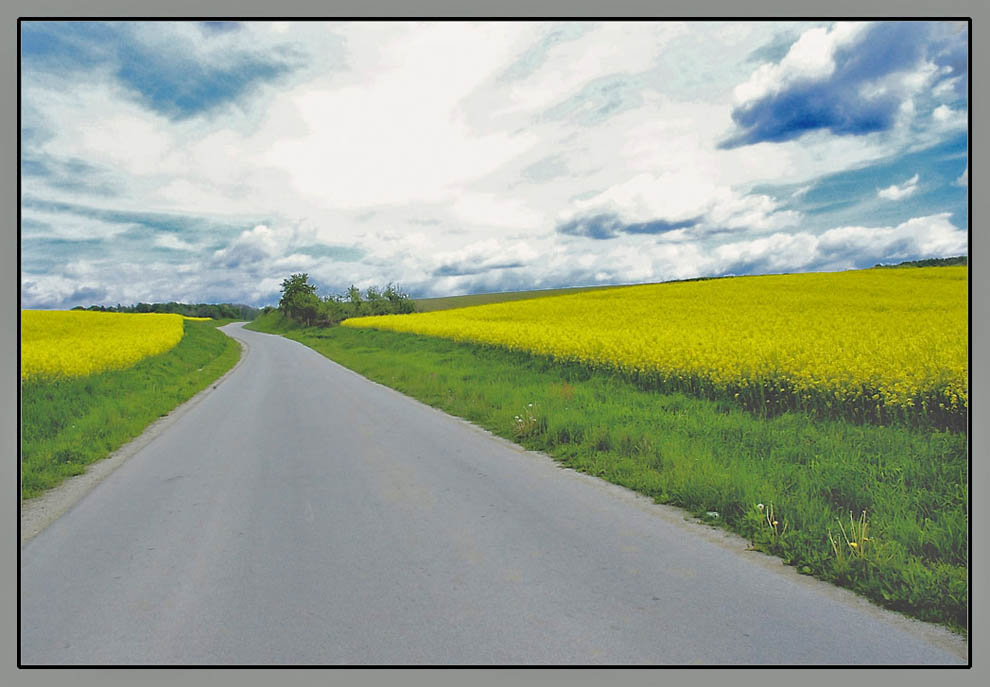 Greenyellow fence of street to heaven